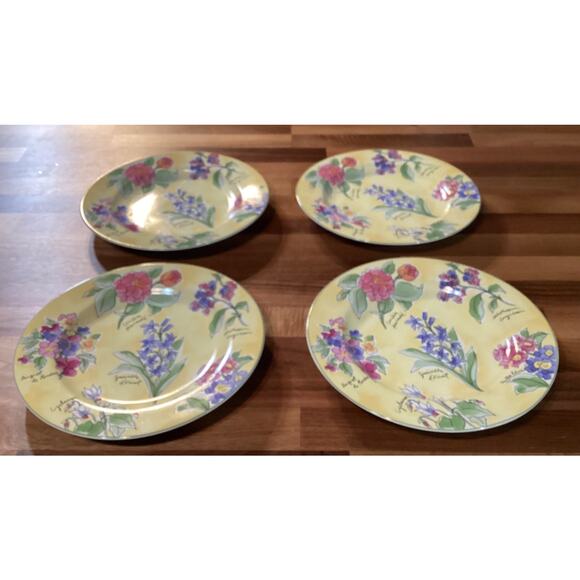 Sakura Sue Zipkin Creme Brûlée Botanical Floral Set of Four 8" Salad Plates 1995 - Picture 4 of 9